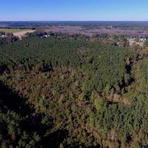 Photo of SOLD!  35.76 Acres of Hunting and Timber Land For Sale in Wilson County NC!