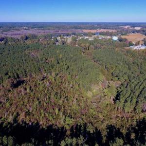 Photo of SOLD!  35.76 Acres of Hunting and Timber Land For Sale in Wilson County NC!