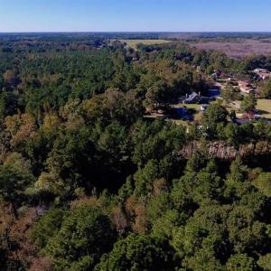 Photo of SOLD!  35.76 Acres of Hunting and Timber Land For Sale in Wilson County NC!