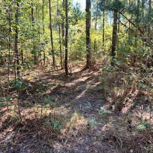 Photo of SOLD!  35.76 Acres of Hunting and Timber Land For Sale in Wilson County NC!