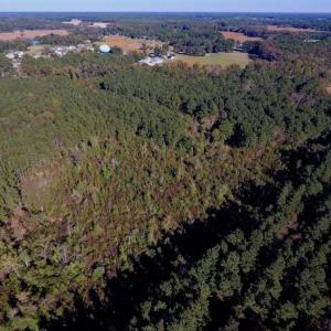 Photo of SOLD!  35.76 Acres of Hunting and Timber Land For Sale in Wilson County NC!