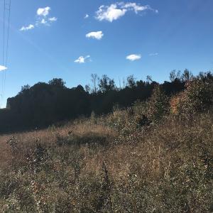 Photo of UNDER CONTRACT!  28 Acres of Residential Hunting Land For Sale in Lunenburg County VA!
