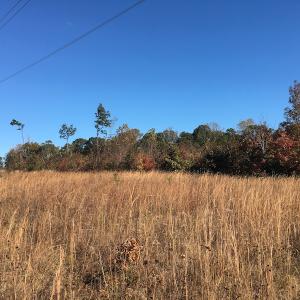 Photo of UNDER CONTRACT!  28 Acres of Residential Hunting Land For Sale in Lunenburg County VA!