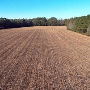 Photo of SOLD!!  18 Acres of Farm and Timber Land For Sale in Robeson County NC!