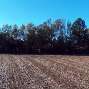 Photo of SOLD!!  18 Acres of Farm and Timber Land For Sale in Robeson County NC!
