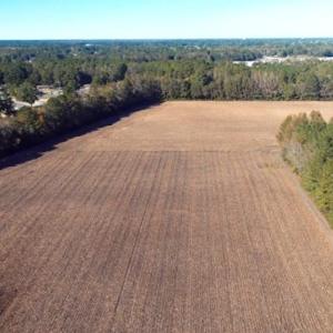 Photo of SOLD!!  18 Acres of Farm and Timber Land For Sale in Robeson County NC!