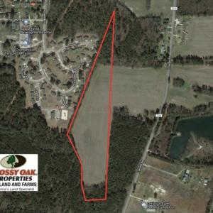 Photo of SOLD!!  18 Acres of Farm and Timber Land For Sale in Robeson County NC!