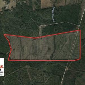 Photo of SOLD!!  209.65 Acres of Hunting and Timber Land For Sale in Columbus County NC!