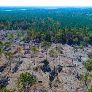 Photo of UNDER CONTRACT!  10.17 Acres of Residential Land For Sale in Lee County NC!