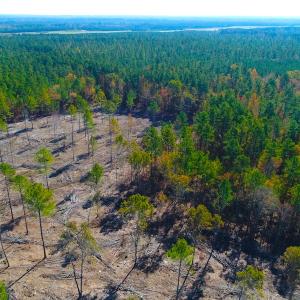 Photo of UNDER CONTRACT!  10.17 Acres of Residential Land For Sale in Lee County NC!
