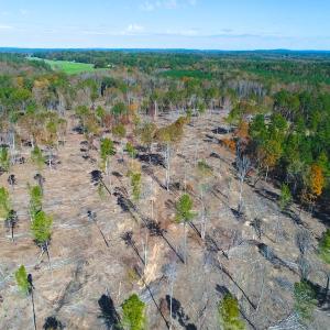 Photo of UNDER CONTRACT!  10.17 Acres of Residential Land For Sale in Lee County NC!