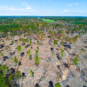 Photo of UNDER CONTRACT!  10.17 Acres of Residential Land For Sale in Lee County NC!