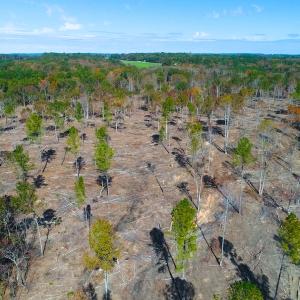 Photo of UNDER CONTRACT!  10.17 Acres of Residential Land For Sale in Lee County NC!