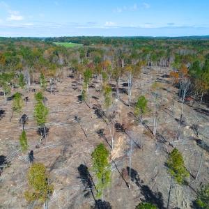 Photo of UNDER CONTRACT!  10.17 Acres of Residential Land For Sale in Lee County NC!