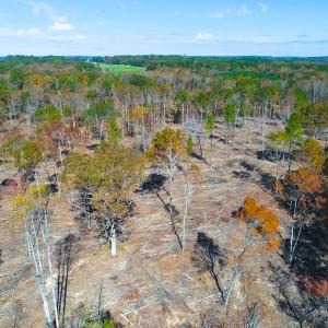 Photo of UNDER CONTRACT!  10.17 Acres of Residential Land For Sale in Lee County NC!