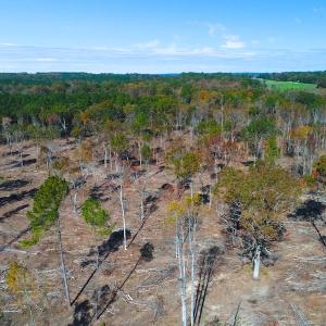 Photo of UNDER CONTRACT!  10.17 Acres of Residential Land For Sale in Lee County NC!