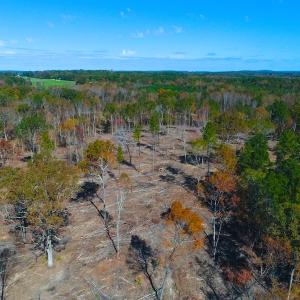 Photo of UNDER CONTRACT!  10.17 Acres of Residential Land For Sale in Lee County NC!