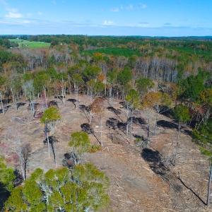 Photo of UNDER CONTRACT!  10.17 Acres of Residential Land For Sale in Lee County NC!