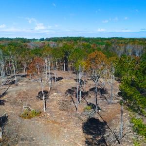 Photo of UNDER CONTRACT!  10.17 Acres of Residential Land For Sale in Lee County NC!