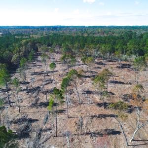 Photo of UNDER CONTRACT!  10.17 Acres of Residential Land For Sale in Lee County NC!