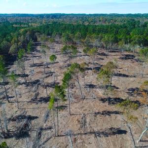 Photo of UNDER CONTRACT!  10.17 Acres of Residential Land For Sale in Lee County NC!