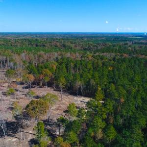 Photo of UNDER CONTRACT!  10.17 Acres of Residential Land For Sale in Lee County NC!