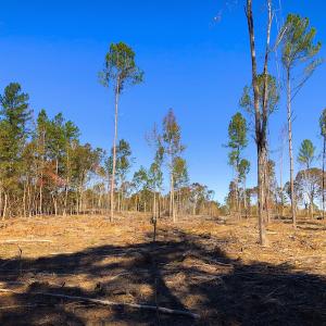Photo of UNDER CONTRACT!  10.17 Acres of Residential Land For Sale in Lee County NC!
