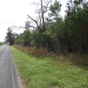 Photo of UNDER CONTRACT!  10 Acres of Hunting and Timber Land for Sale in Columbus County NC!