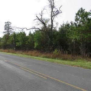 Photo of UNDER CONTRACT!  10 Acres of Hunting and Timber Land for Sale in Columbus County NC!