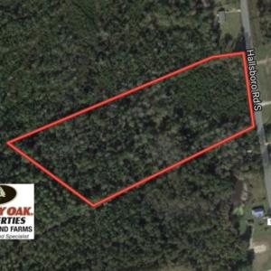 Photo of UNDER CONTRACT!  10 Acres of Hunting and Timber Land for Sale in Columbus County NC!
