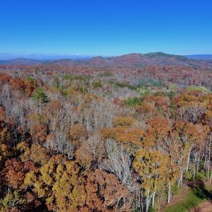 Photo of UNDER CONTRACT!  20.18 Acres of Hunting and Timber Land For Sale in Cherokee County NC!