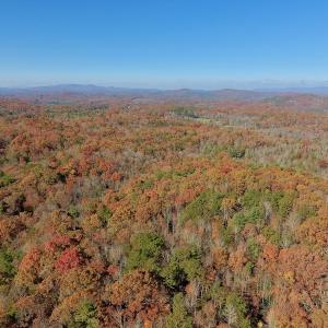 Photo of UNDER CONTRACT!  20.18 Acres of Hunting and Timber Land For Sale in Cherokee County NC!