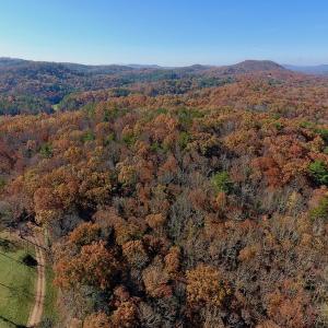 Photo of UNDER CONTRACT!  20.18 Acres of Hunting and Timber Land For Sale in Cherokee County NC!