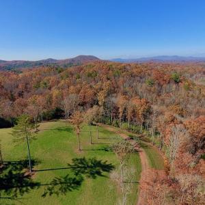 Photo of UNDER CONTRACT!  20.18 Acres of Hunting and Timber Land For Sale in Cherokee County NC!