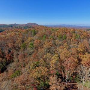 Photo of UNDER CONTRACT!  20.18 Acres of Hunting and Timber Land For Sale in Cherokee County NC!
