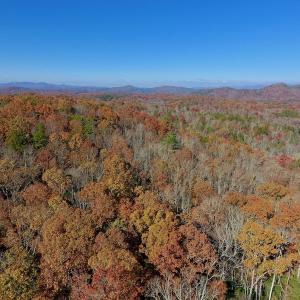 Photo of UNDER CONTRACT!  20.18 Acres of Hunting and Timber Land For Sale in Cherokee County NC!