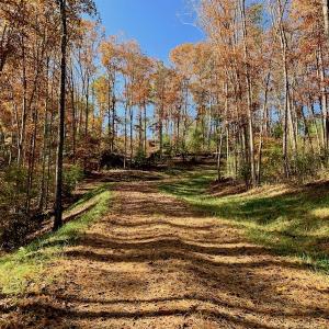 Photo of UNDER CONTRACT!  20.18 Acres of Hunting and Timber Land For Sale in Cherokee County NC!