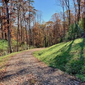 Photo of UNDER CONTRACT!  20.18 Acres of Hunting and Timber Land For Sale in Cherokee County NC!