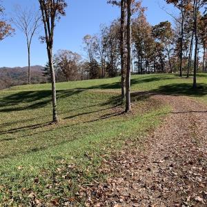 Photo of UNDER CONTRACT!  20.18 Acres of Hunting and Timber Land For Sale in Cherokee County NC!
