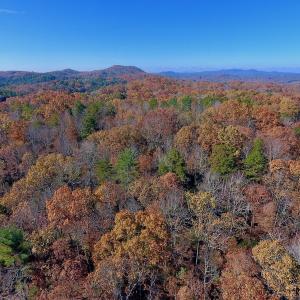 Photo of UNDER CONTRACT!  20.18 Acres of Hunting and Timber Land For Sale in Cherokee County NC!