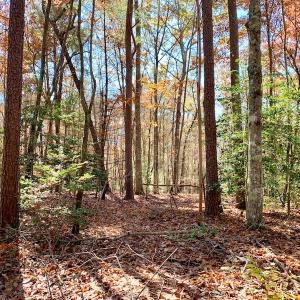 Photo of UNDER CONTRACT!  20.18 Acres of Hunting and Timber Land For Sale in Cherokee County NC!