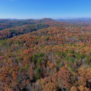 Photo of UNDER CONTRACT!  20.18 Acres of Hunting and Timber Land For Sale in Cherokee County NC!