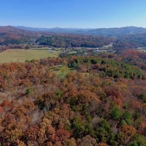 Photo of UNDER CONTRACT!  20.18 Acres of Hunting and Timber Land For Sale in Cherokee County NC!