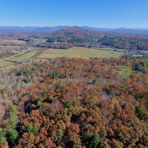 Photo of UNDER CONTRACT!  20.18 Acres of Hunting and Timber Land For Sale in Cherokee County NC!