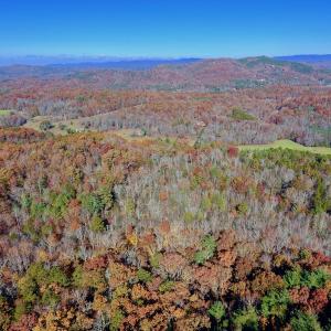 Photo of UNDER CONTRACT!  20.18 Acres of Hunting and Timber Land For Sale in Cherokee County NC!