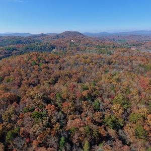 Photo of UNDER CONTRACT!  20.18 Acres of Hunting and Timber Land For Sale in Cherokee County NC!