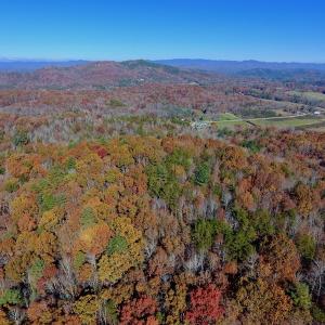 Photo of UNDER CONTRACT!  20.18 Acres of Hunting and Timber Land For Sale in Cherokee County NC!