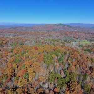 Photo of UNDER CONTRACT!  20.18 Acres of Hunting and Timber Land For Sale in Cherokee County NC!