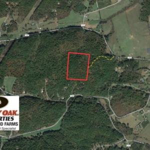 Photo of UNDER CONTRACT!  20.18 Acres of Hunting and Timber Land For Sale in Cherokee County NC!