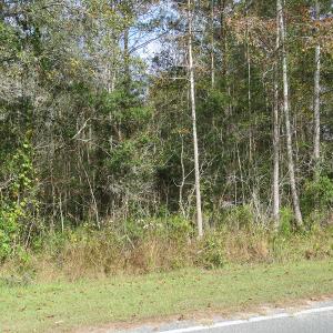 Photo of UNDER CONTRACT!  30.6 Acres of Hunting and Timber Land For Sale in Columbus County NC!